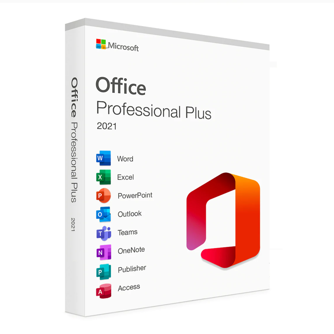 Microsoft Office Professional Plus 1